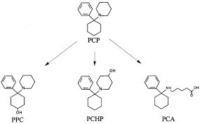 Image result for Phencyclidine