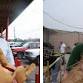 Low Cost Vaccination Clinics for Cats & Dogs in event image