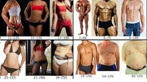 Im A Visual Person Health Body Fat Percentage Chart