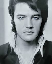 Elvis Presley Boulevard Memories