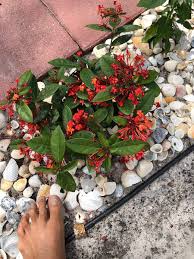 Nudist colony festival part 2: Sunsport Gardens Family Naturist Resort Specialty Resort Reviews Loxahatchee Florida Tripadvisor