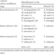 Identification Of The 168 Clinical Strains Using Either