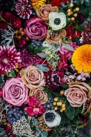Close Up On Summer Flowers Anenome Gerbera Flowers Bloem Behang Bloeiende Planten Bloem Achtergrond