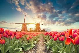 All you need to know about living, working and traveling abroad. 7 Reasons To Visit The Netherlands In April By Bike Yubike Tours