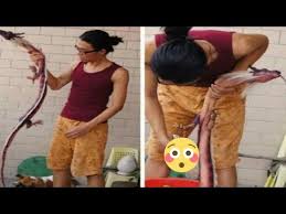 Mimpi melihat ular besar seperti naga. Arti Mimpi Bertemu Seekor Naga Gomimpi