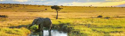 Abenteuer und spannung pur kann man mit einem kenia urlaub erleben. Kenia Reisen Erleben Und Entdecken Berge Meer