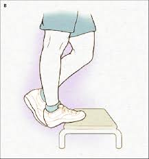 And once you do that, you can fix it. Eccentric Exercise Lengthening Contraction For Achilles Tendinopathy Download Scientific Diagram