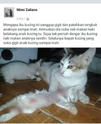 Cara tes kucing tuli cukup dengan suara, boleh nama panggilan atau tepuk tangan atau. Siakap Keli Press Ada Yang Tau Sebab Ape Mohon Perkongsian Facebook