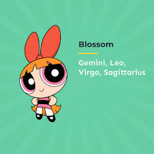 Zodiac Meme In 2021 Zodiac Powerpuff Girls Zodiac Signs