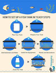 This can be done by way of a siphon, and your fish can stay in the tank. How To Properly Set Up An Aquarium In Your House 10 Steps Home Stratosphere