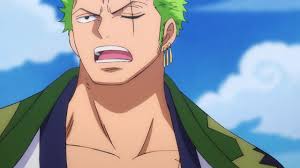 pin by kairi on zoro zoro one piece roronoa zoro zoro