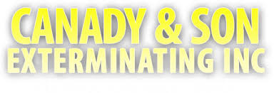 Saturate some cotton balls on what are your most effective pest control products may be very professional pest control firm for those rodents. Pest Control Wilmington Nc Canady Son Exterminating Inc