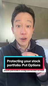 Protecting Your Stock Portfolio with Put Options