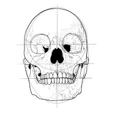 Art tattoo traditional art skull rose graphic design flash tattoo. How To Draw A Skull A Step By Step Guide To Skull Drawing