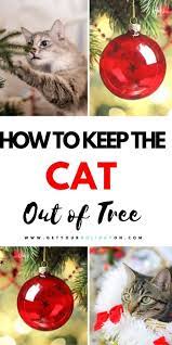 How To Keep Your Cat Out Of The Christmas Tree Get Your Holiday On Cat Christmas Tree Cat Proof Christmas Tree Christmas Cats