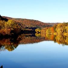 William Krolak (@WilliamKrolak)