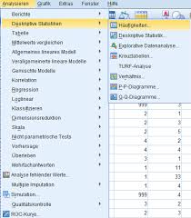 Haufigkeiten Spss Software Bwl Vwl Online Lernen