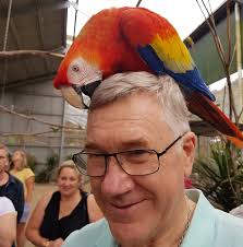 What is a great polish for moissanite?