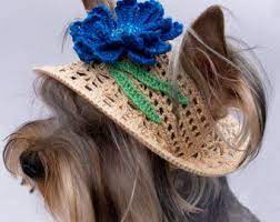 Hat For Dog Orchid Dog Sun Hats Party Hats For Etsy Crochet Dog Crochet Dog Hat Dog Hat