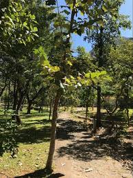 Book indien hermitage, kanyakumari on tripadvisor: Indien Hermitage Kanyakumari Tamil Nadu Hotel Reviews Photos Rate Comparison Tripadvisor