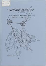 Image result for Clitandra cymulosa