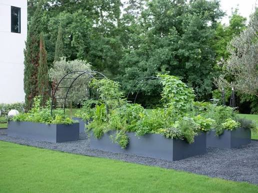 Raised Bed Edging: A Beginner's Guide • Gardenary
