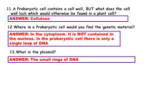 Prokaryotes Bacteria Worksheet Answers Eukaryotic And Prokaryotic Cells Video Ppt In 2020 Prokaryotes Prokaryotic Cell Language Worksheets