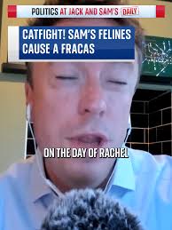 Cat Fight Analysis at Jack and Sam's: UK Politics Podcast