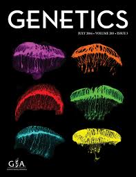He moved on from kent state university and turned proficient in 2012, subsequent to turning into an individual from. Chromosome Duplication In Saccharomyces Cerevisiae Genetics