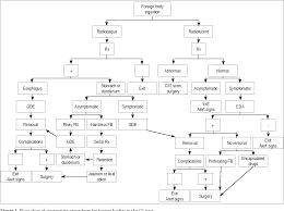 figure 1 from incidental foreign body in the