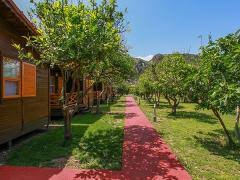 baris pansiyon bungalows cirali kemer antalya antalya kemer antalya oteller baris
