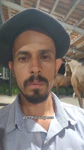 William Grecco (@ct_william_grecco) • Instagram photos and videos