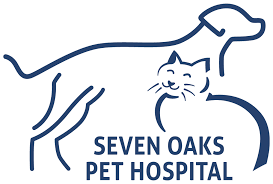 The staff at washington boulevard animal hospital are here for you and your pets. Vet Near Me 33544 Seven Oaks Pet Hospital Wesley Chapel Fl