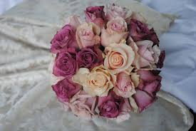 Check spelling or type a new query. Gorgeous Pink And Dusty Mauve The Butterfly Lounge