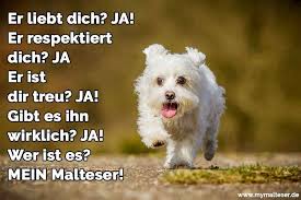 Malteser Zitate Und Sprüche