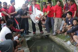 Tabanan Merdeka Com Wabup Sanjaya Meriahkan Lomba Mancing Air Deras Penarukan