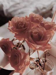Pinterest Skylarmckellar Insta Sky Mckellar I Always Follow Back Rose Gold Aesthetic Gold Aesthetic Flower Aesthetic