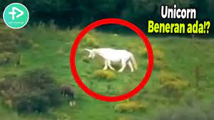 Check spelling or type a new query. Tak Sekadar Khayalan Peneliti Buktikan Unicorn Ada Di Dunia Nyata Youtube