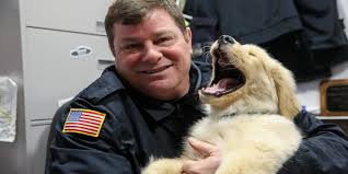 Massachusetts Therapy Puppy Steals Toys From Police Holiday Drive