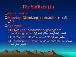 Medical Terminology Medical Terminology For Health Careers Provides