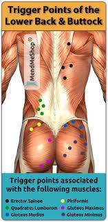 Your hamstring muscles run down the back of the leg. Pin On Back Pain Chiropractic Sciatica
