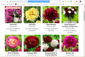 We have many peony flowers for sale. Where To Buy Peony Plants Or Bulbs Online Top 50 Stores Garden Tabs