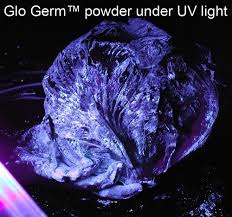 Glo Germ Powder Kit Demonstrate How Germs Spread