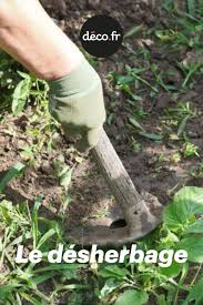 Le Desherbage En 2020 Desherbage Mauvaises Herbes Jardinage