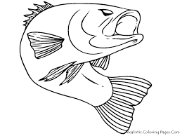 They can even add some background elements such as bubbles, stones, algae or even other fish. Cartoon Fish Coloring Pages For Kids