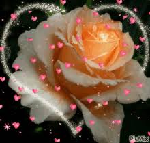 All animated flowers pictures are absolutely free and can be linked directly, downloaded or shared via all animated flowers gifs and flowers images in this category are 100% free and there are no. Flower Moving Animation Gifs Tenor