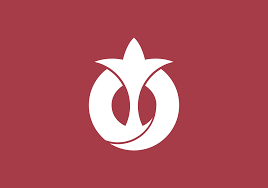 Japanese Subregion Flags Https En M Wikipedia Org Wiki List Of Flags From Japanese Subregions Japanese Flag Japan Flag Aichi