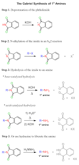 The Gabriel Synthesis Of Primary Amines Summary Of Methods For Hydrolysis Of The Imide In 2020 Organic Chemistry Organic Chemistry Study Chemistry
