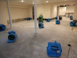 We did not find results for: Extracting Water After A Basement Flood