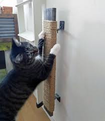 How To Stop Your Cat From Scratching Up Your Furniture Cattime Cat Furniture Pet Furniture Cats